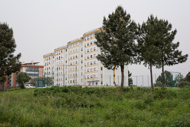14-DSC 0050