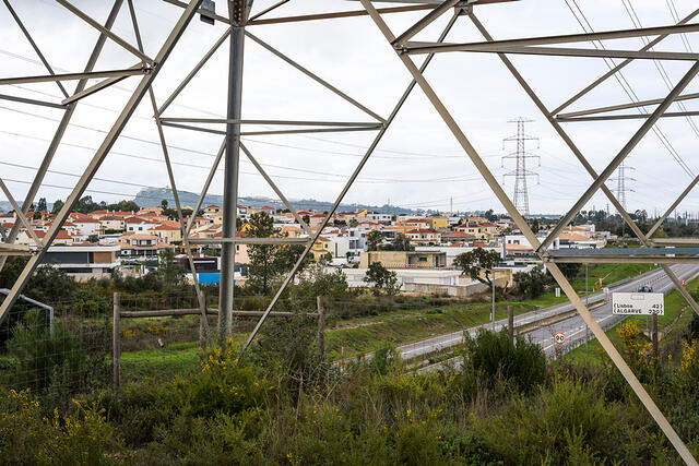 15-DSC 8667