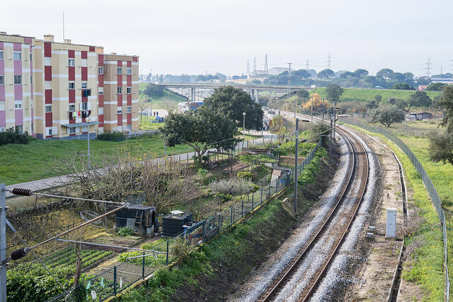 17-DSC 8978
