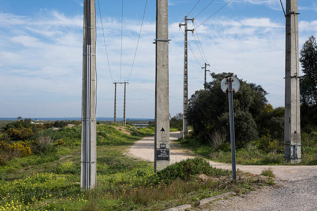 20-DSC 9361