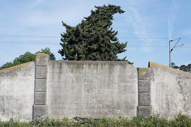 21-DSC 9548
